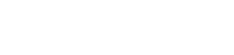 CIS Coromandel Insurance Services