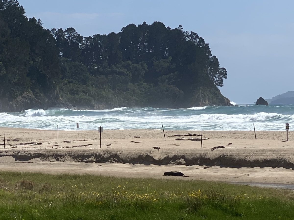 Surf breaking below a bush-clad headland on the Coromandel coast